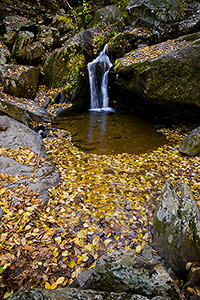 Downriver from Dark Hollow Falls in Fall, Shenandoah National Park, VA
